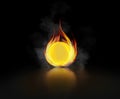 Burning blank gold coin in fire on black background Royalty Free Stock Photo