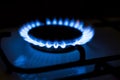 Burning blue gas. Gas stove. Topic of gas price increase