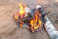 Burning bonfire in forest camping with woods and burning birch in fire.