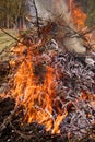 Burning bonfire and gray ashes from dry branches and grass.