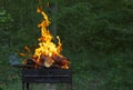 Burning bonfire, Preparing, grill, barbecue party, summer grilling, barbecue, bbq, fire, Grilling, countryside. Royalty Free Stock Photo