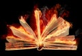 Burning book with fantail flamming sheets Royalty Free Stock Photo