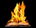 Burning book on fire flames Royalty Free Stock Photo