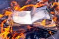 Burning book. The book is on fire. Burning unnecessary books Royalty Free Stock Photo