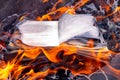 Burning book. The Inquisition burns illicit books Royalty Free Stock Photo