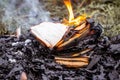 Burning books on the fire, burning books among the ashes Royalty Free Stock Photo
