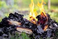 Burning books outdoors, barbaric treatment of books