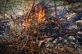 Burning branches and brush and flames Royalty Free Stock Photo