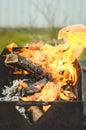 Burning brazier with firewood/burning brazier with firewood, selective focus Royalty Free Stock Photo
