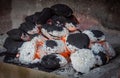 burning briquettes inside the grill Royalty Free Stock Photo