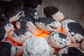 burning briquettes inside the grill Royalty Free Stock Photo