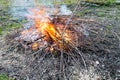 burning brushwood and cut branches of fruit trees