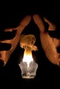 Burning Bulb Royalty Free Stock Photo