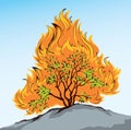 Burning bush. Vector drawing icon