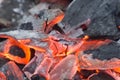 Burning camp fire closeup Royalty Free Stock Photo