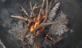 Burning camp fire with coals and flames Royalty Free Stock Photo
