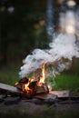 Burning campfire, birch forest in the background