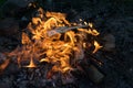 Burning campfire Royalty Free Stock Photo