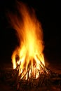 Burning campfire flames at night Royalty Free Stock Photo