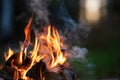 Burning campfire, birch forest in the background