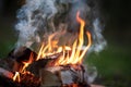 Burning campfire, birch forest in the background