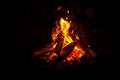 Burning campfire at night outdoors Royalty Free Stock Photo