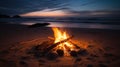 Burning campfire on the sand beach. Twilight sky with clouds.