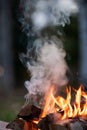 Burning campfire, birch forest in the background