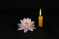 Burning candle and beautiful water lilies Royalty Free Stock Photo