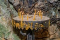 Burning candle in the cave. Candles burning inside mysterious in dark cave in Serbia.