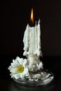 Burning candle and daisy flower