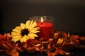 Burning candle in floral decor