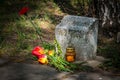 Burning candle and flowers tulips vested at the monument