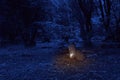 Burning candle on the old cemetery