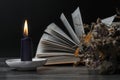 A burning candle, an open book, and dry herbs. Royalty Free Stock Photo