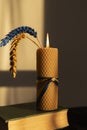 burning candle and two spikelets, painted yellow-blue on a dark and light background Royalty Free Stock Photo