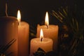 Burning candles of an Advent wreath with fir branches Royalty Free Stock Photo