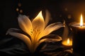 Burning candles and flowers on dark background Royalty Free Stock Photo