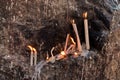 Burning candles on the rock Royalty Free Stock Photo