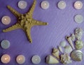 Still life with starfish, shells and candles Royalty Free Stock Photo