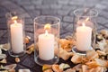 Burning candles in a vase with rose-leafs Royalty Free Stock Photo