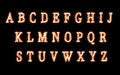 Burning Capital Letters in Order. Flaming Alphabets Set with Fire Flames and Smokes.