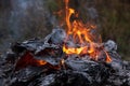 Fire flames, burning pile of cardboard and waste paper Royalty Free Stock Photo