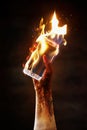 Burning cell phone