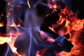 Burning Charcoal for barbecue grill Royalty Free Stock Photo