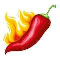 Burning chili pepper gourmet heat