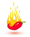 Burning chili pepper