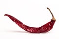 Burning chili pepper Royalty Free Stock Photo