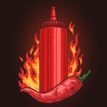 Burning chilli sauce colorful logotype