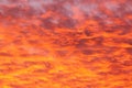 Mammatus clouds glowing orange by sunset, dramatic sky